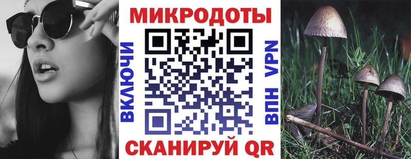 купить наркоту  Баксан  Галлюциногенные грибы Psilocybe 