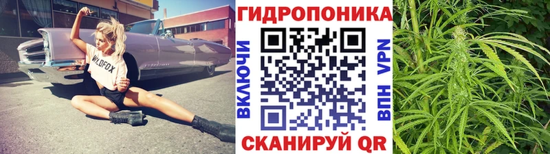 купить наркоту  Баксан  Конопля Amnesia 